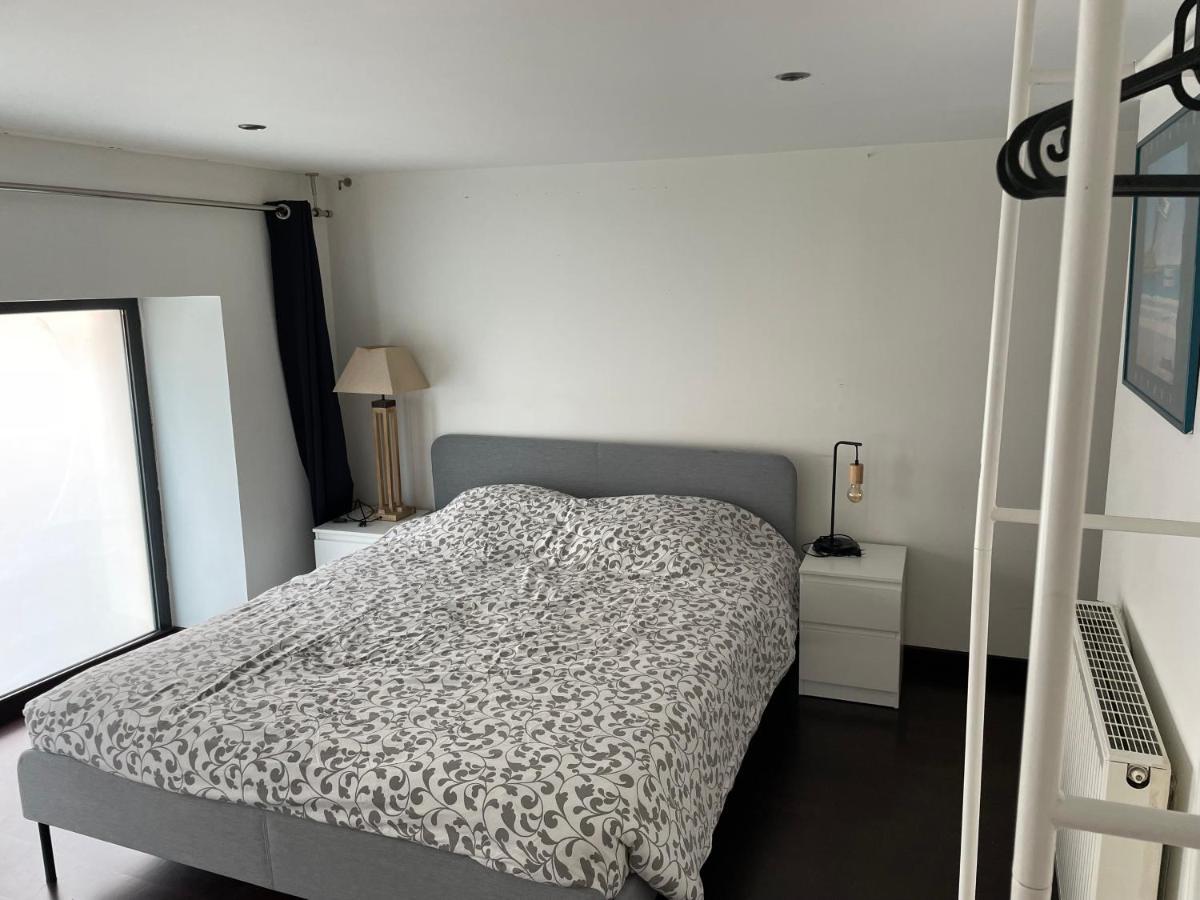 Loft Triplex 3 Chambres Doubles 维勒班 外观 照片